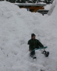 Scheekatastrophe 2006